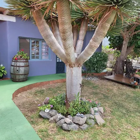 別荘 Finca-las Mariposas 2 Las Canteras (Tenerife)