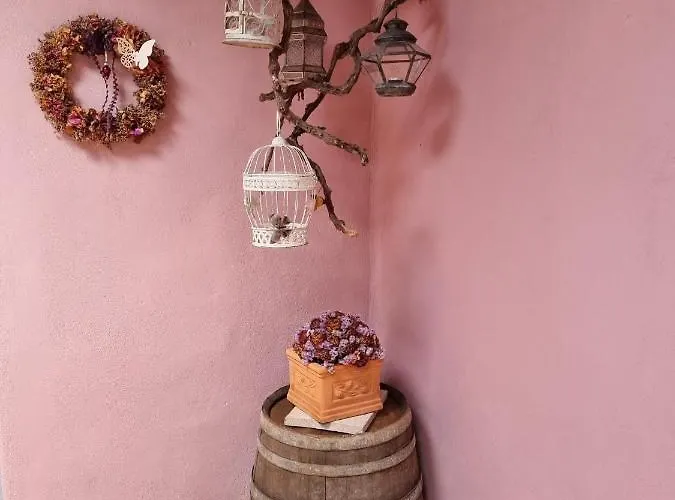 Casa vacanze Finca-las Mariposas 2