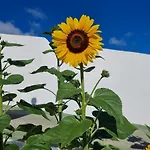 Finca-las Mariposas 2 بيت للعطل *